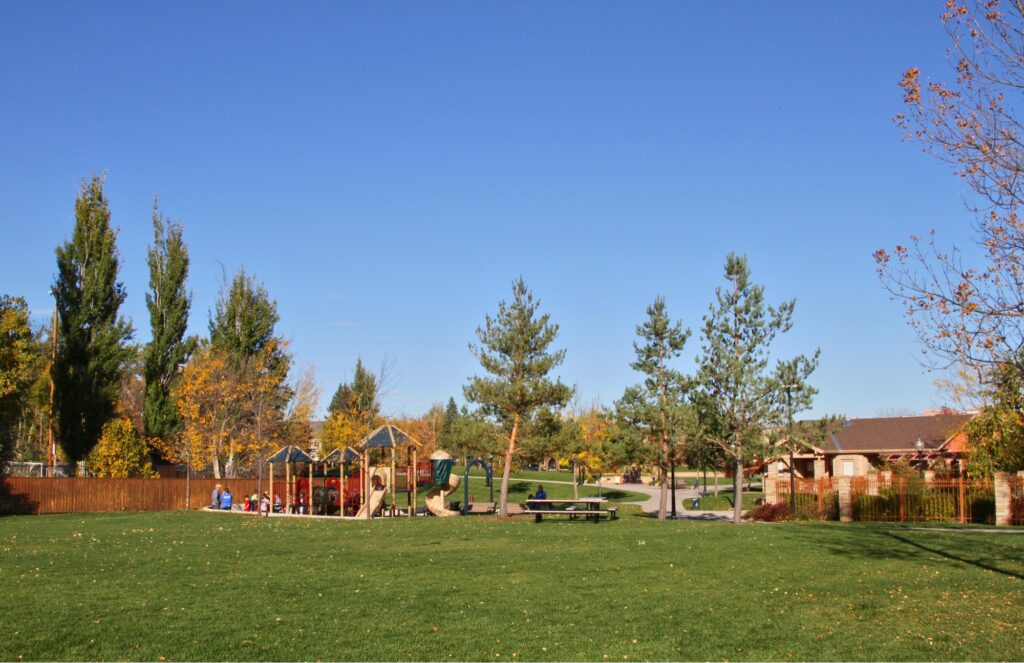 Whitney Commons Park Playground