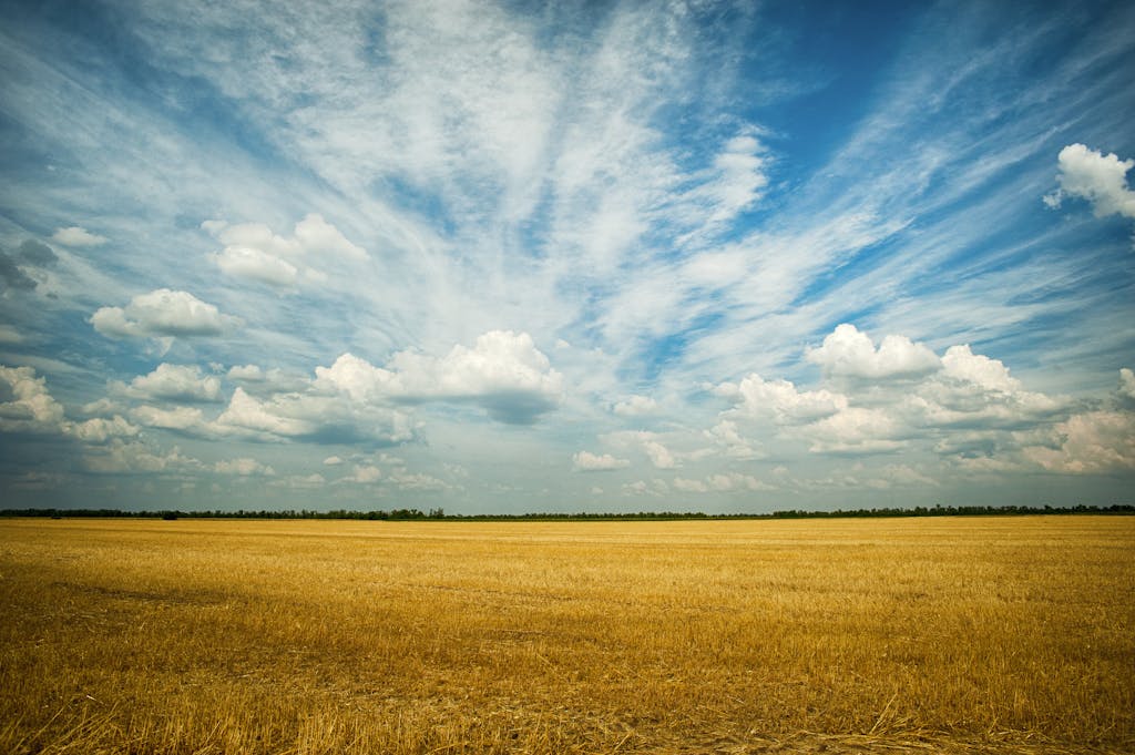 Photo Of Grass Field